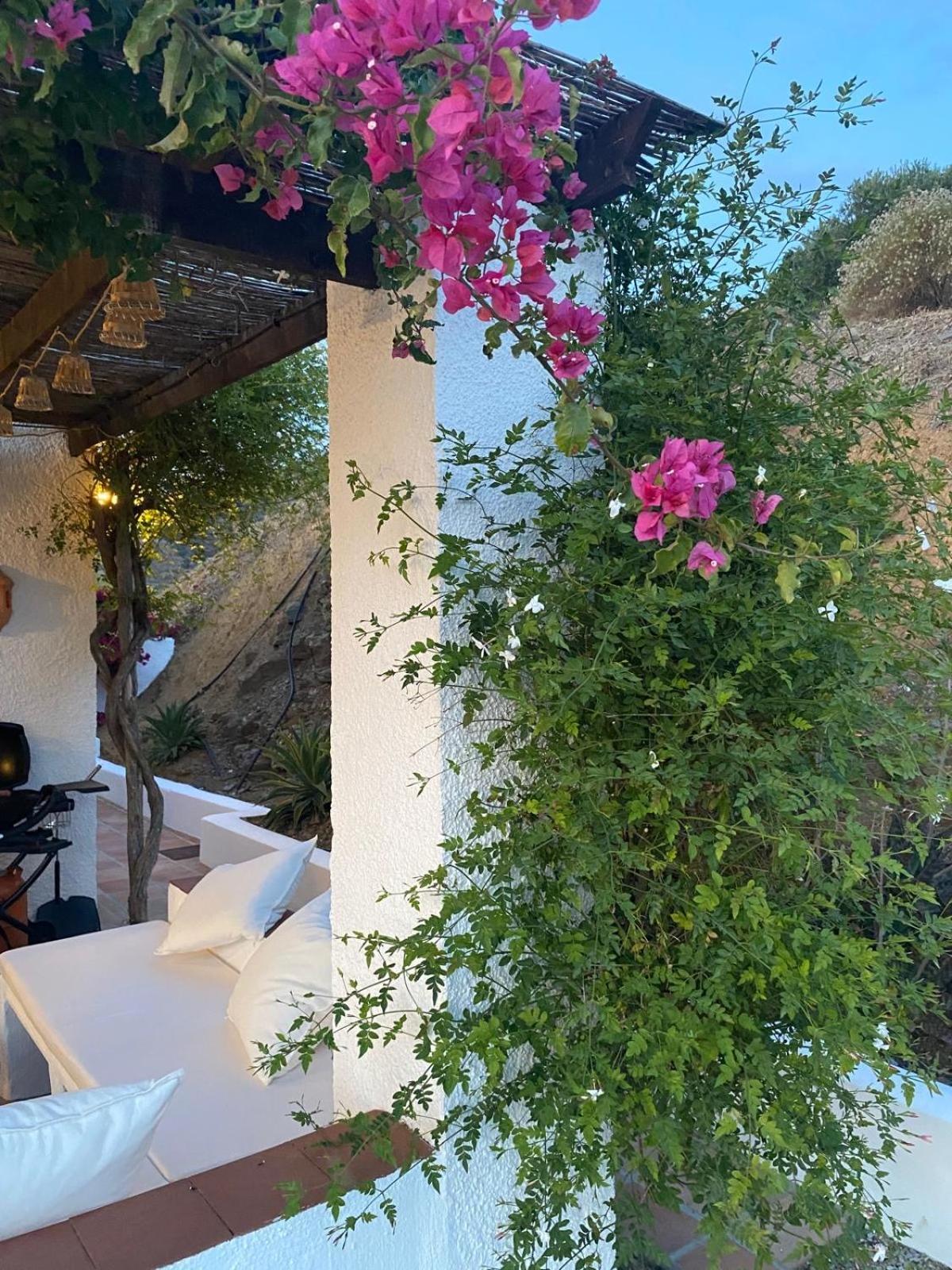 Finca Angelita 토록스 외부 사진