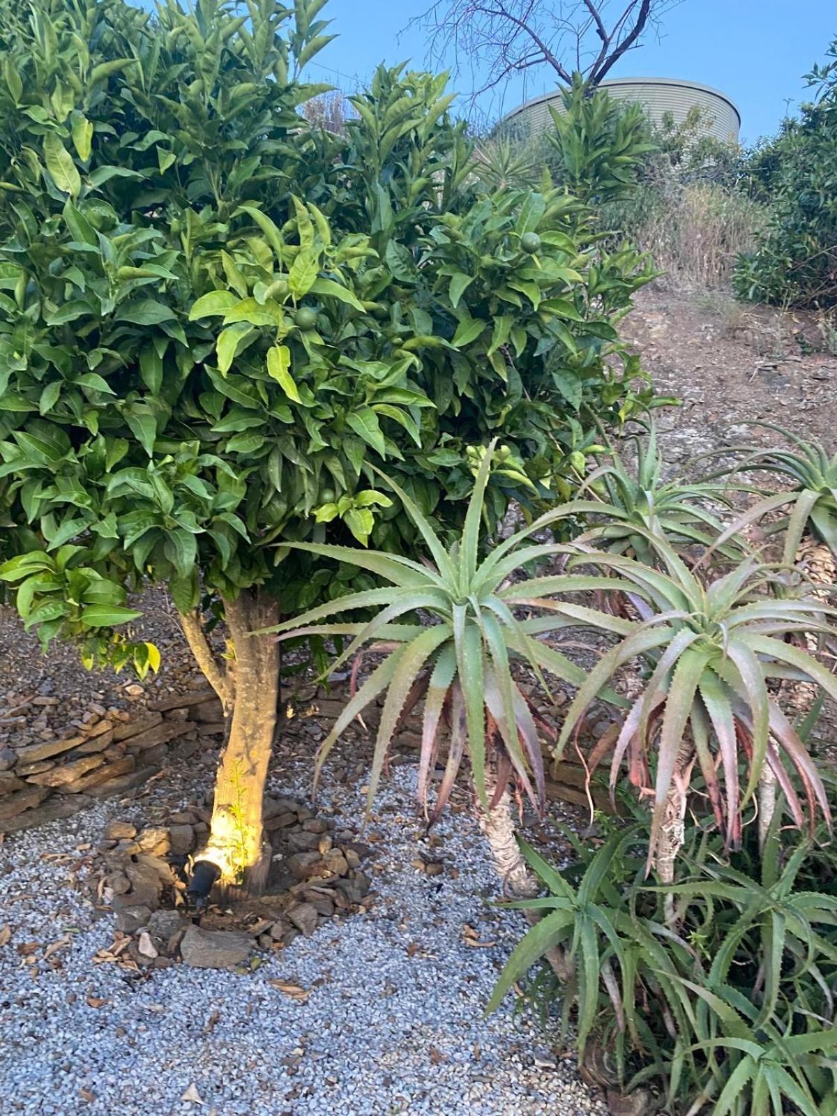 Finca Angelita 토록스 외부 사진
