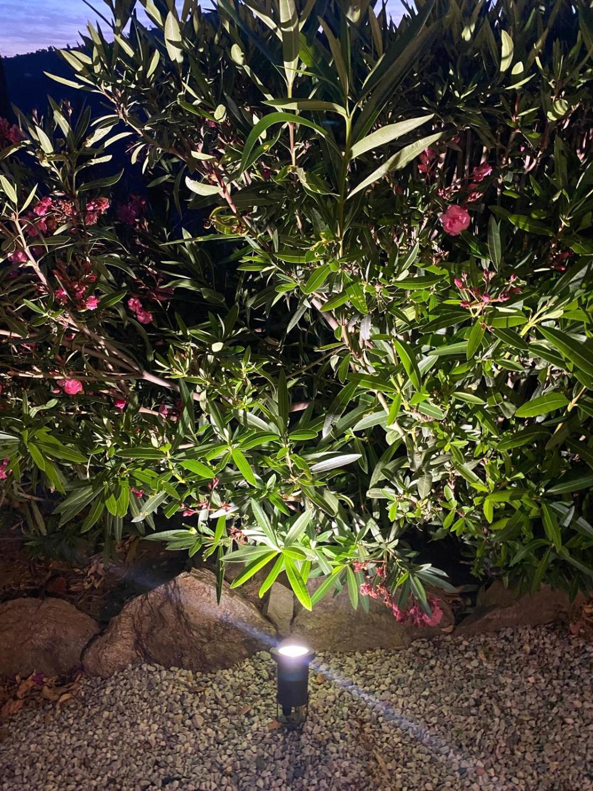 Finca Angelita 토록스 외부 사진